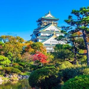 Meet your Posher, Juniper